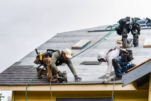 Professional Roof Inspection technician working in Essex, IL